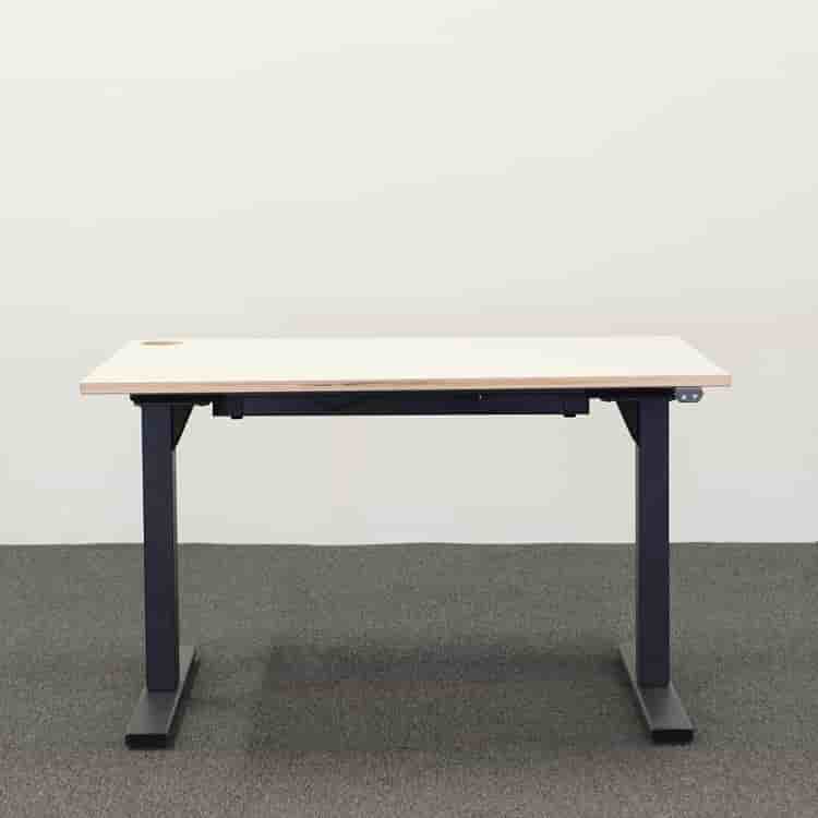 Elektriskt höj- & sänkbart  Skrivbord Snitsa 120 cm