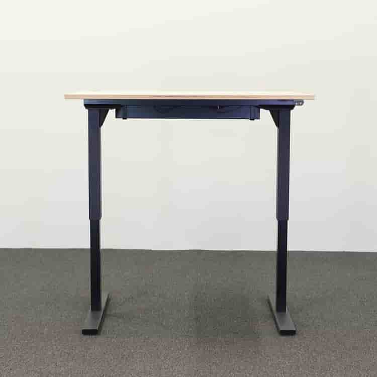 Elektriskt höj- & sänkbart  Skrivbord Snitsa 120 cm