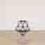 Stol One Concrete