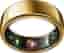 Oura Ring G3 Horizon Guld Ringstorlek 9