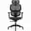 Flexispot C7-series C7B-M1-DP Premium Office Chair With Mesh Seat
