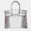 Hermes Birkin 30 Himalaya Niloticus Crocodile Diamond Tote Bag