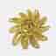 Chanel 1994 Fall 94A Gold Plated Sunburst CC Logo Brooch