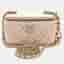 Chanel Vanity Small Pink Quilted Calfskin Leather Crossbody Bag