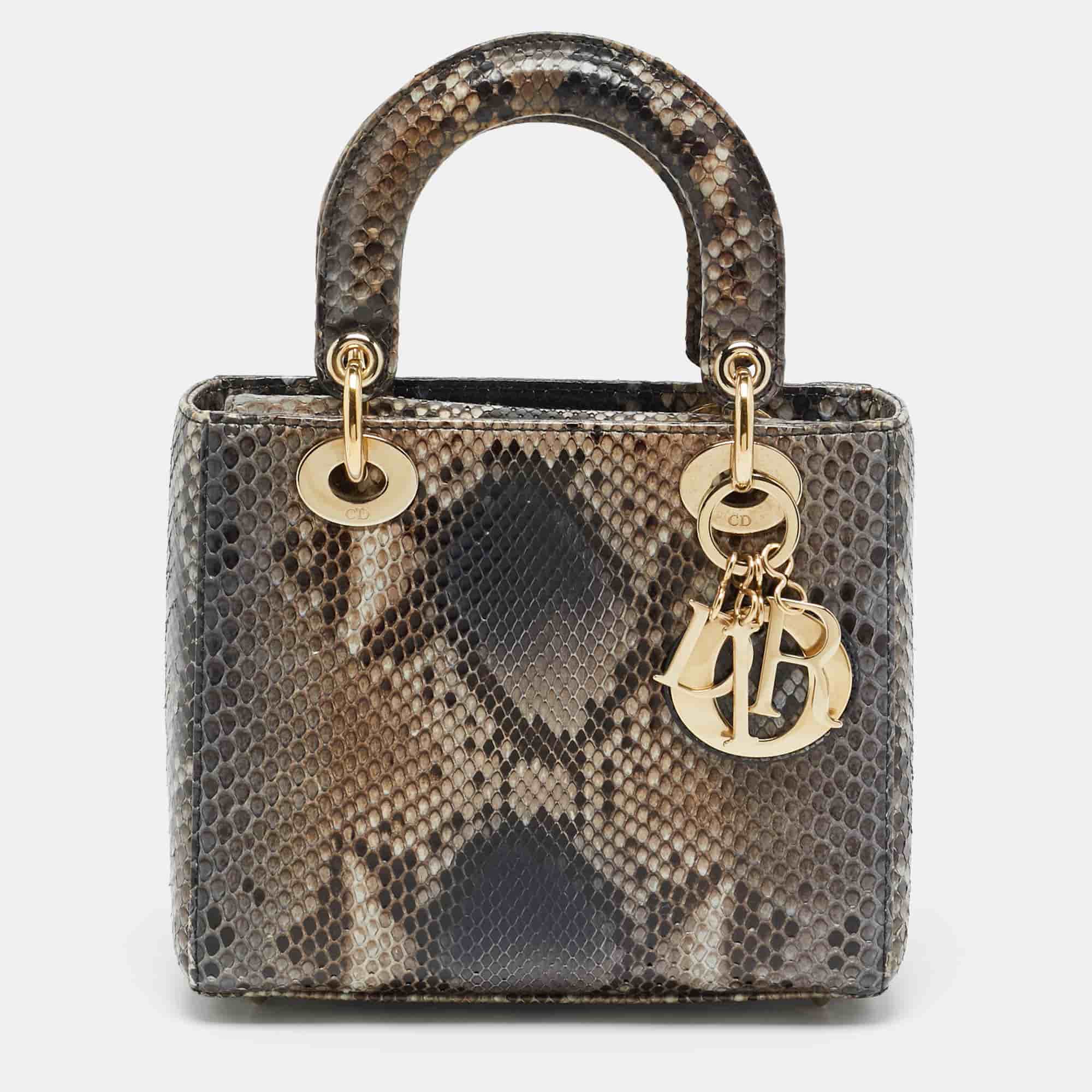 Dior Lady Dior Small Multicolor Python Tote