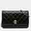 Chanel CC Quilted Crinkled Patent Leather Wallet on Chain Bag