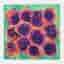 Dior Multicolor Floral Print Silk Scarf
