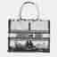 Dior Book Medium Black/White Paris Embroidered Canvas Tote