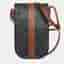 Celine Triomphe Phone Pouch Bag