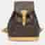 Louis Vuitton Montsouris MM Monogram Backpack