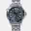 Omega Seamaster Professional 210.30.42.20.06.001Grey Stainless Steel Men's Wristwatch 42mm
