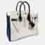 Hermes Birkin 25 Craie Black Togo Calfskin Leather Top Handle Bag