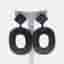 Herm&egrave;s Plastic horn earrings
