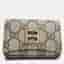 Gucci x Balenciaga The Hacker Project Mini Wallet Bag