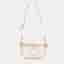 Louis Vuitton Multi Pochette Accessories Brume Monogram Giant By The Pool Canvas Shoulder Bag