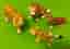Schleich Tigerfamilj Samlarfigurer Tiger Familj Wild Life Animals