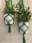 Gröna Amplar för blomkrukor 2 st (16-20 cm)