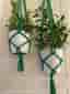 Gröna Amplar för blomkrukor 2 st (13-15 cm)