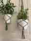 Träskgröna Amplar för blomkrukor 2 st (16-20 cm)