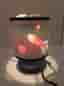 Magic Spinning Lamp Outer Space