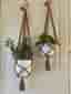 Två Bruna amplar, makramé, plant hanger, 16-20 cm