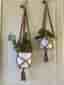 2 bruna amplar, makramé, plant hanger, 10-12 cm