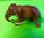 Schleich Elefant Nummer 17001 Ny med etikett