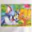 Tom and Jerry Cardboard Frame Puzzle NO D20 14x18 cm