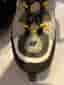 K2 Flight M Inlines Rullskridskor