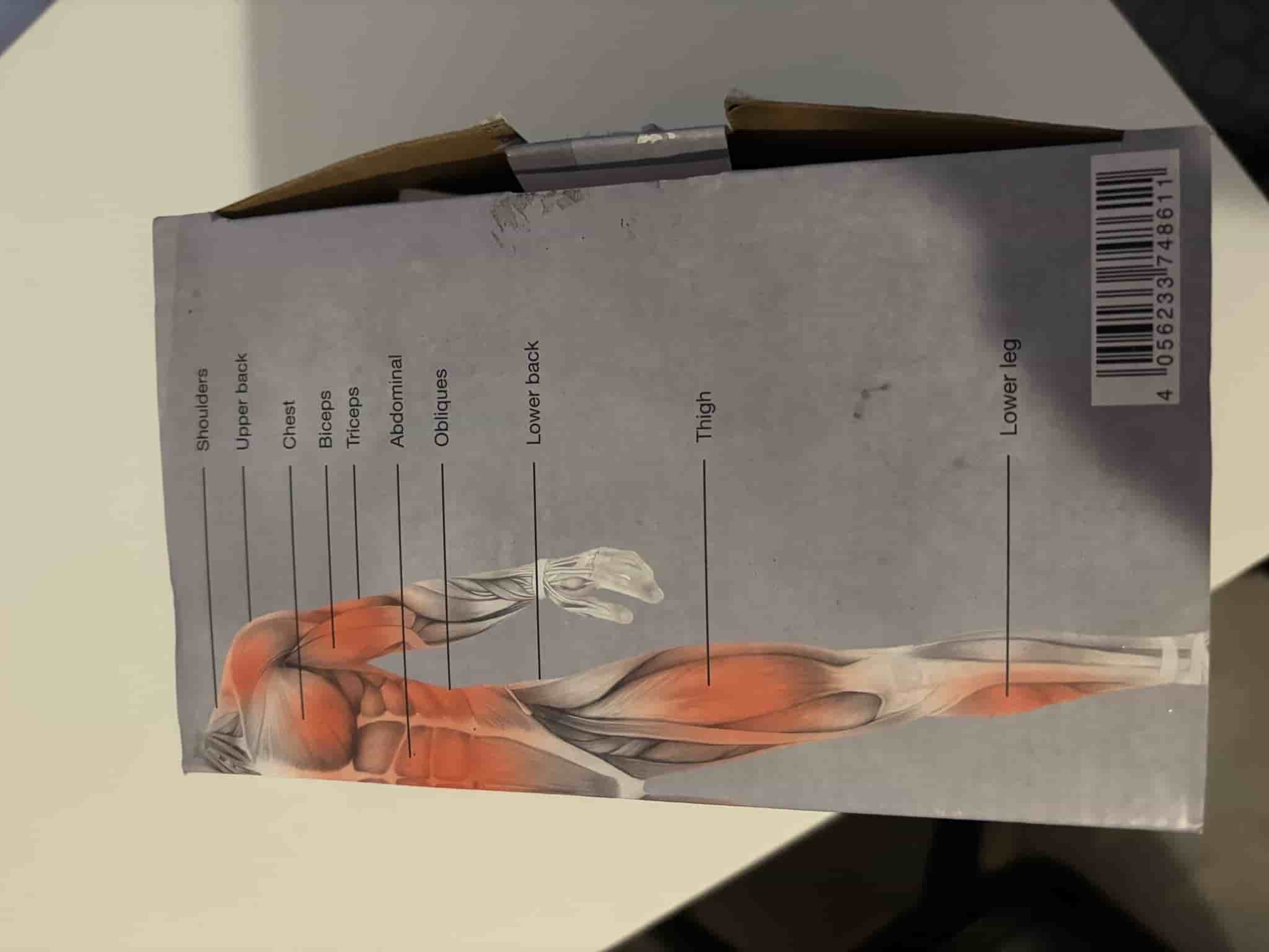 Crivit Suspension Trainer