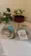North Light Colours Lampa