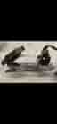 HEAD Double Runner Training Skate Skridskor