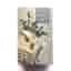 White Sage Tarot av Theresa Hutch
