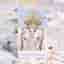 White Sage Tarot av Theresa Hutch