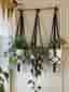 Svarta amplar, 3 st, 13-15 cm,handmade