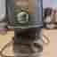 De'Longhi Dedica Style Espressomaskin