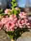 Bukett med rosa konstgjorda blommor