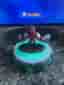 Skylanders Tae Kwon Crow - Imaginators