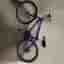 Pinewood X40 Mountainbike
