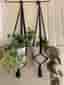 Svarta amplar, 2 st, 10-12 cm,handmade