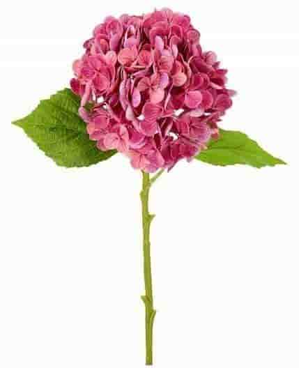 Hortensia plastblomma