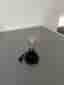 Lampa