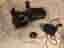 Sony PXW-FS7 kit