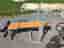 Träningsbänk Energetics Basic Bench 180 OBS nytt pris