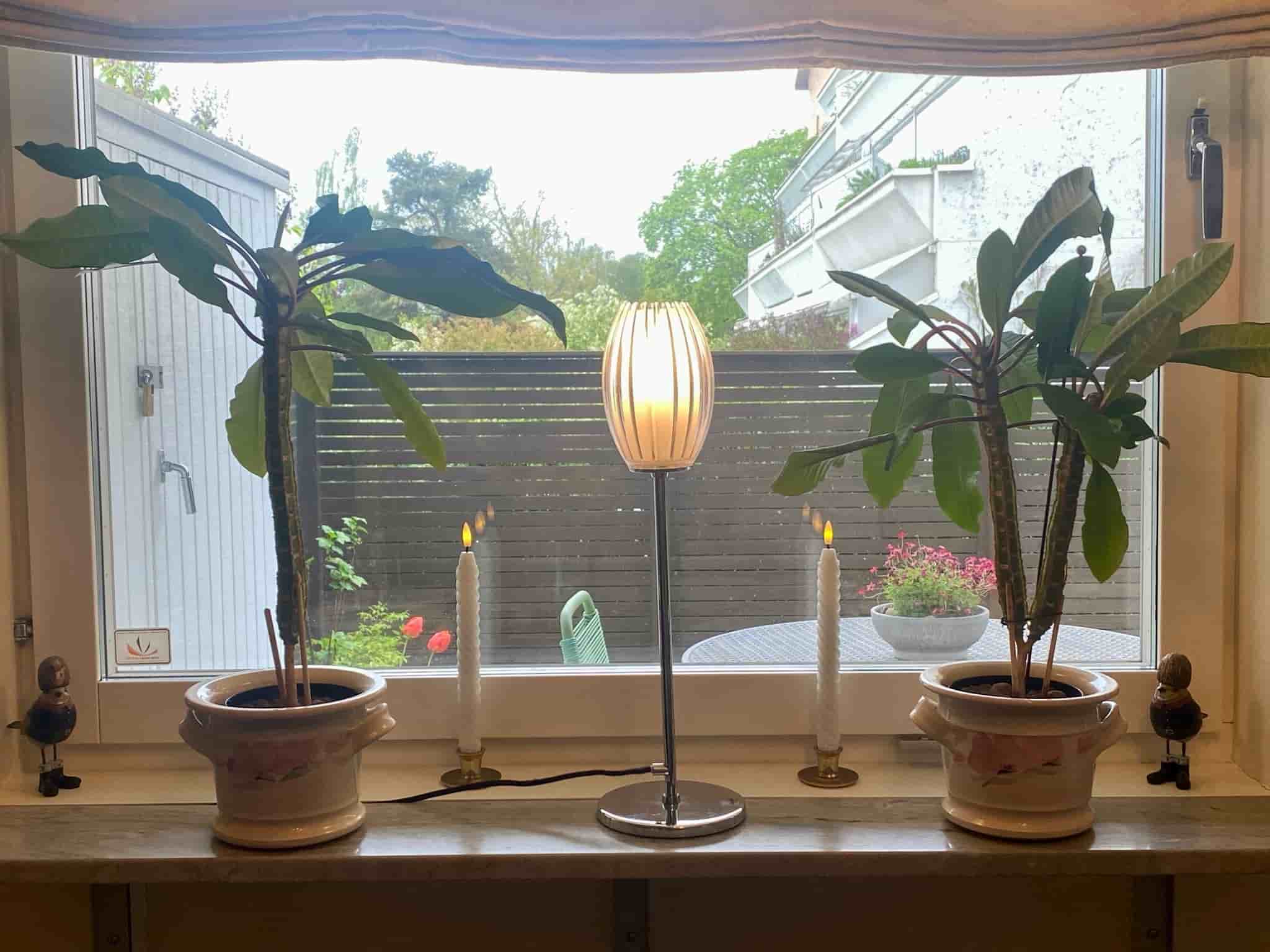 Herstal Tentacle Clear bordslampa 50 cm