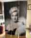 Rumsavdelare med Marilyn Monroe och Audrey Hepburn motiv