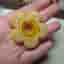 1pc Nepalese beads 31g
