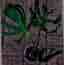 -XL- *RARITY* Monstera Deliciosa 'Unniiae'