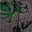-XL- *RARITY* Monstera Deliciosa 'Unniiae'