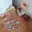 Sylvanian Families hus, bil, husvagn och figurer
